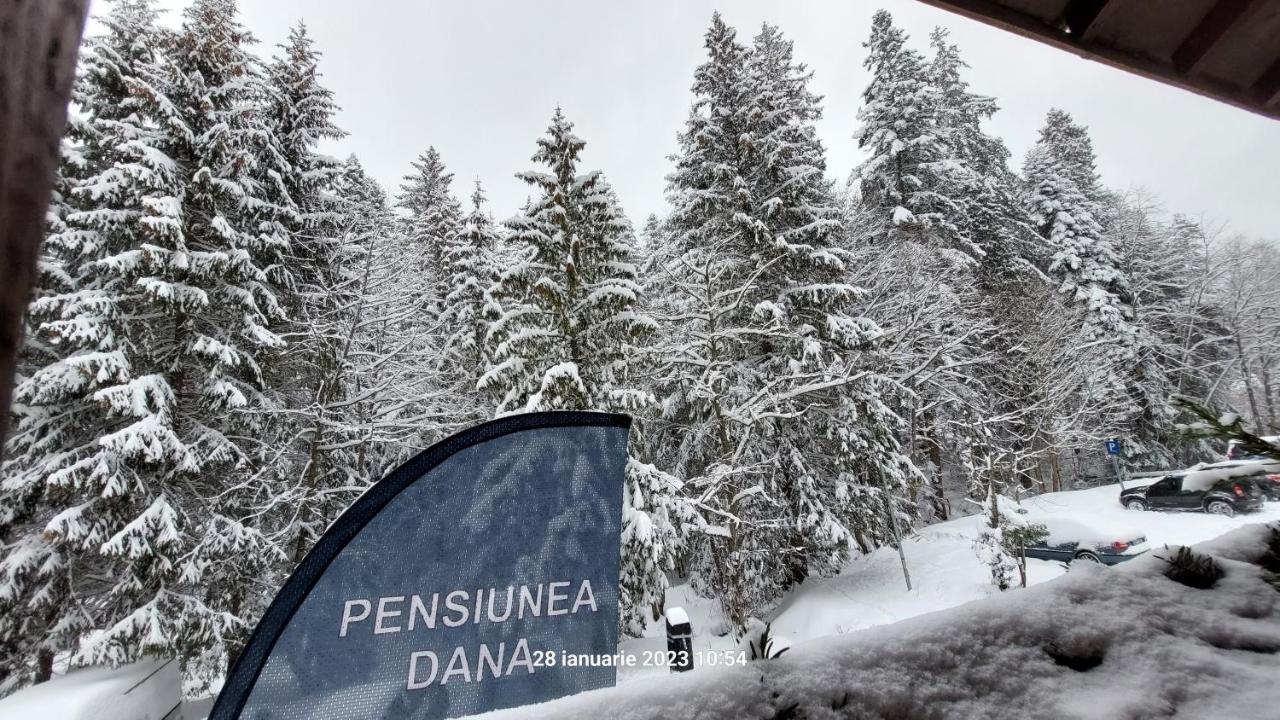 Pensiunea Dana 普雷代亚尔 外观 照片